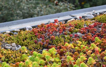 the cost of Troedyrhiw green roof installation