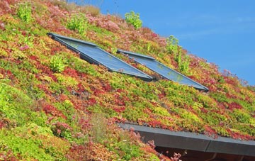 Troedyrhiw living roof systems